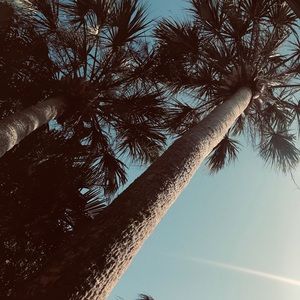 Meet your Posher, Amelia